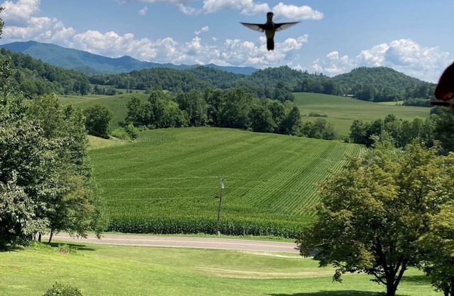 Genießen Sie einen ruhigen Kurzurlaub in den Bergen in der Nähe von Franklin, North Carolina