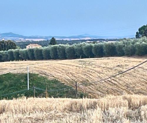 Angolo,di Chianti