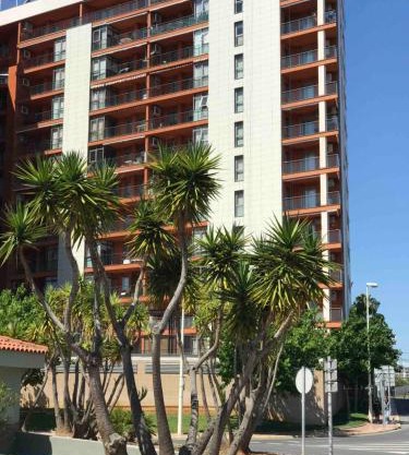 ANIMAR piso en ALGAIDA Oropesa