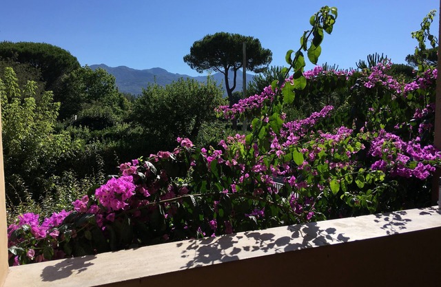 Annas Haus in Forte dei Marmi.
