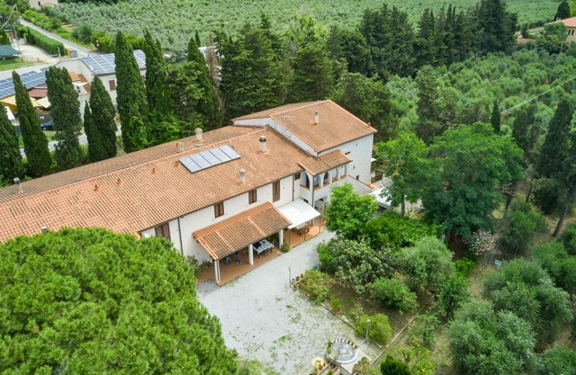 Antichi Palmenti - Alloro