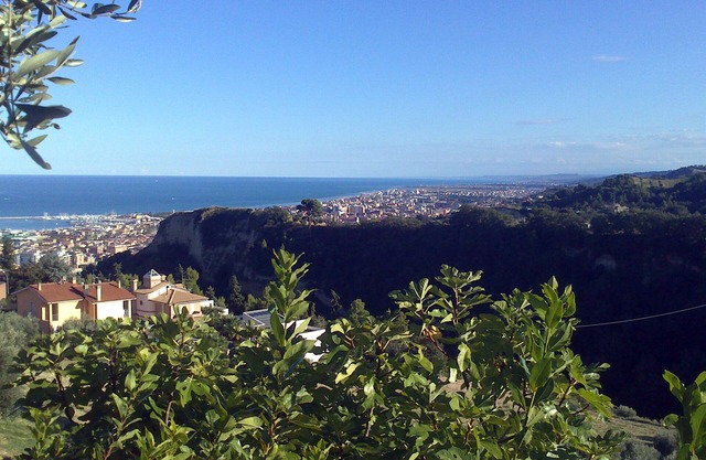 Wohnung für einen erholsamen Urlaub inmitten von Olivenhainen mit Blick auf die Adria