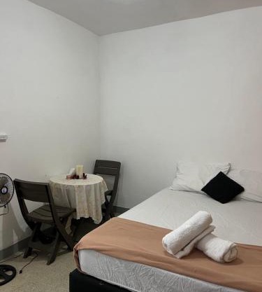 Apartaestudio Amoblado Estadio