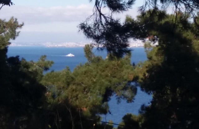 Apartament Ada