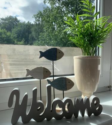 Apartament K29