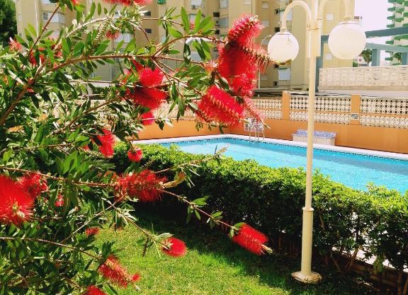 Apartamento Antillas
