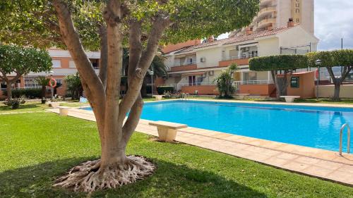 Apartamento PARADISE Solo Familias