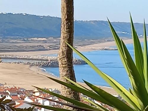 Apartamentos Bela Vista