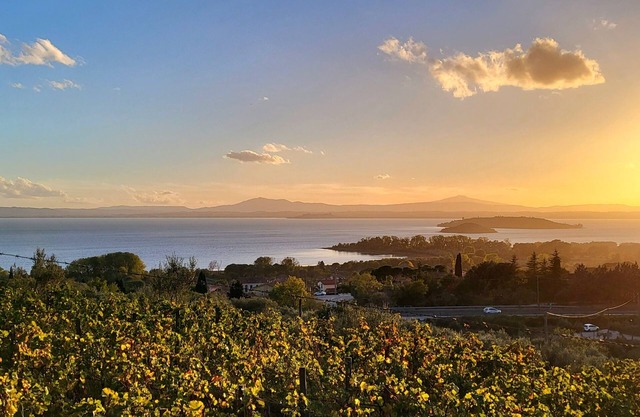 Ferienhaus Passignano sul Trasimeno mit Aussicht auf den See in Trasimeno Umbria