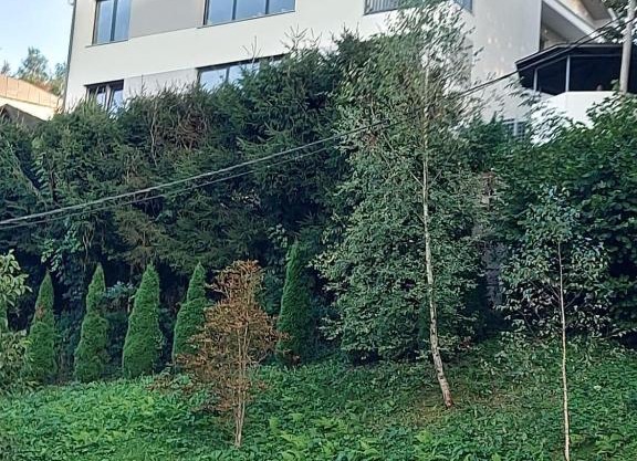 apartma Golovec