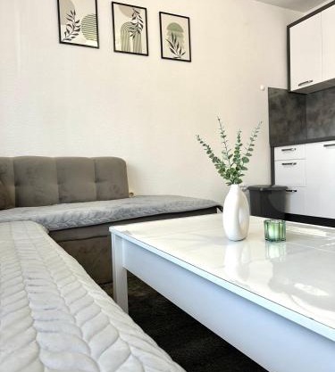 Apartman Lara Laktasi