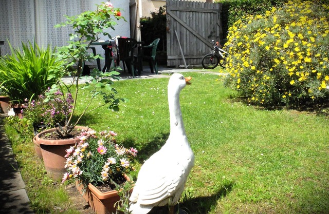 Apartment with garden 5 minutes from the sea