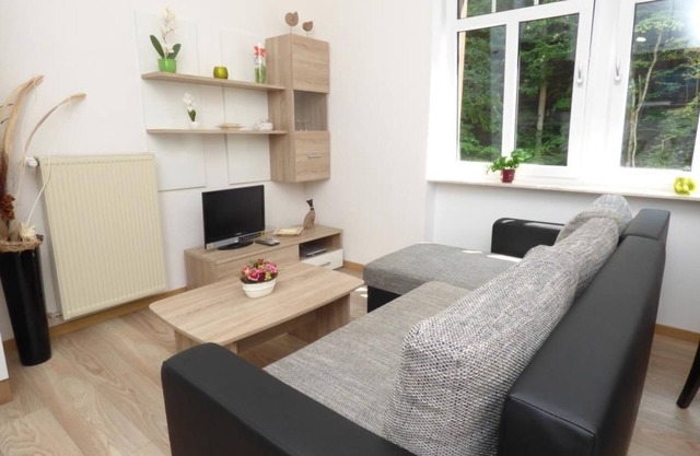 Appartement 1 Schlafzimmer - Wald Villa Üssbach