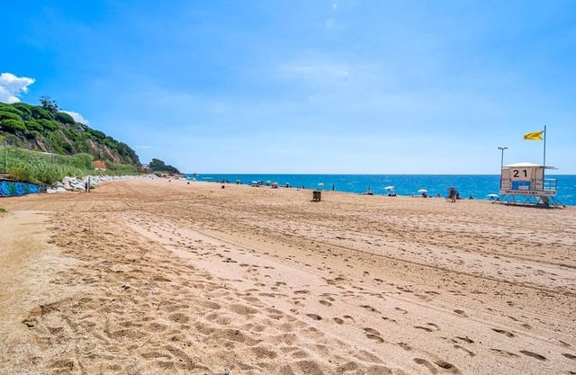 Apartment 100m beach with parking pet friendly