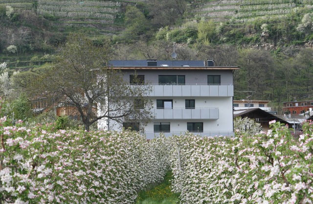 Ferienwohnung "Apfelblüte" mit großem Balkon