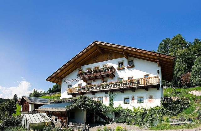 Ferienwohnung "Aster - Nusserhof" in der Nähe des Skigebietes mit Bergblick & Balkon
