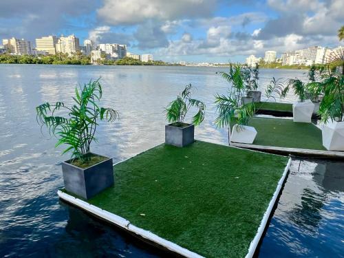 Apartment at heart of Condado with front view terrace