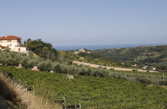 Wohnung zwischen den Weinbergen und dem Meer