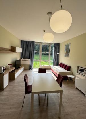 Apartment Borgo 229T