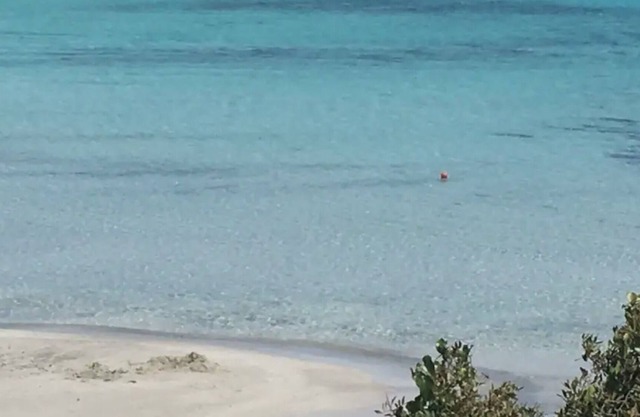 Apartment 'Cala Liberotto' with Private Terrace, Wi-Fi and Air Conditioning