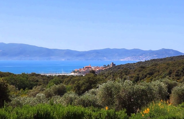 Apartment 'Casa Ulivo' with Sea View, Wi-Fi and Air Conditioning