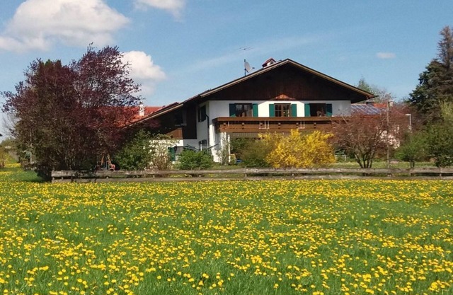 Fewo Sonnenblume, Königscard - Ferienhaus Allgäu