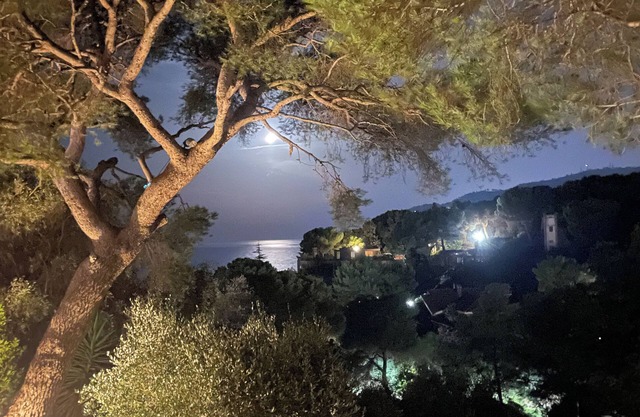 Wohnung mit Meerblick und großem Garten