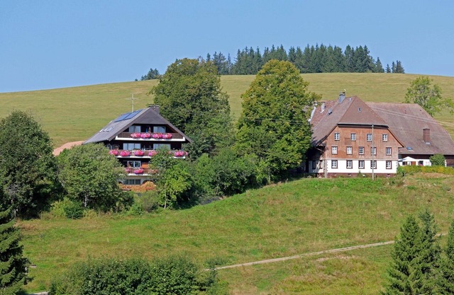 Apartment Feldbergblick, mit Balkon in sonniger Alleinlage