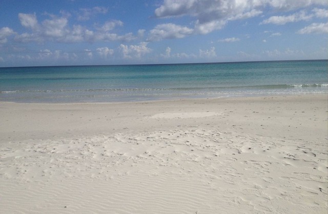Apartment Fiordaliso 250 mt beach Porto Ottiolu