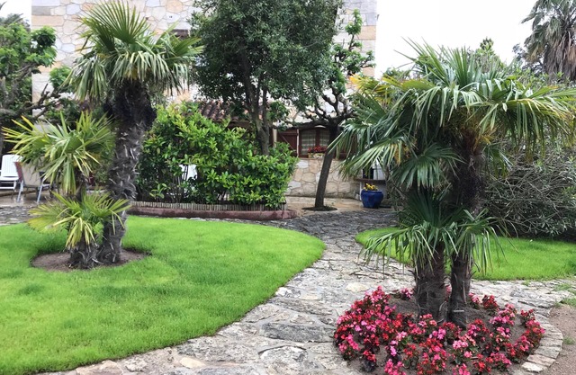 Ferienwohnung - PORTO-VECCHIO