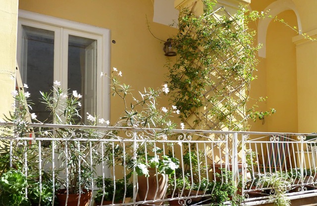 Ferienwohnung - PROCIDA île