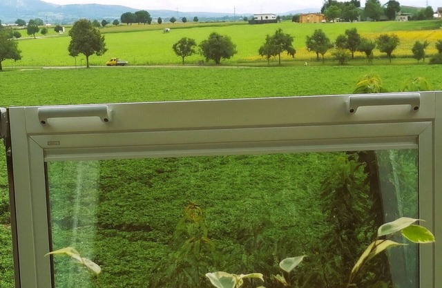 Apartment 'Green' mit privater Terrasse, Gemeinschaftsgarten und WLAN