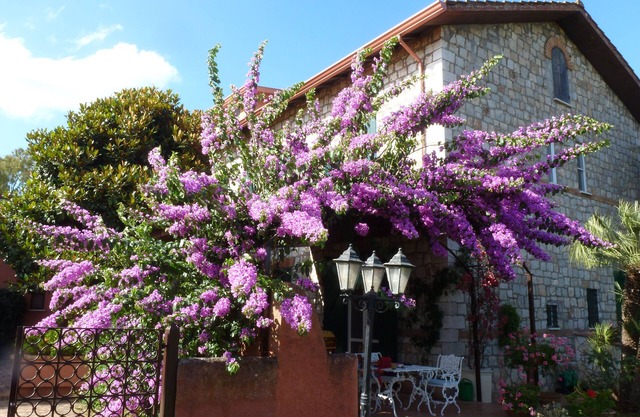 Wohnung in einem Bauernhaus zwischen Terracina und Sperlonga