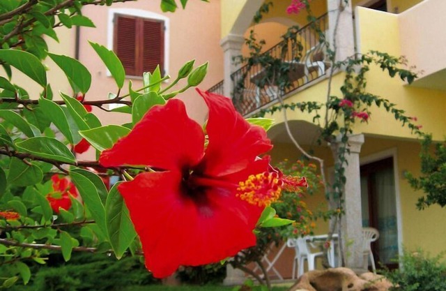 Apartment in Badus mit Gemeinschaftspool