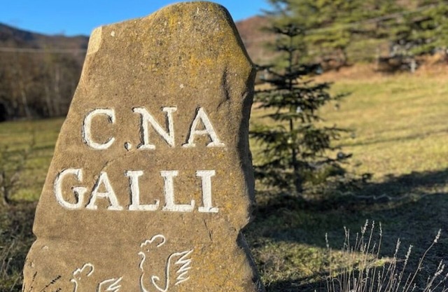 Apartment in Langa Astigiana farmhouse Cascina Galli