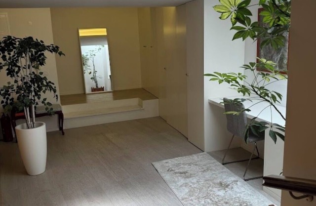 Apartment in the city center
