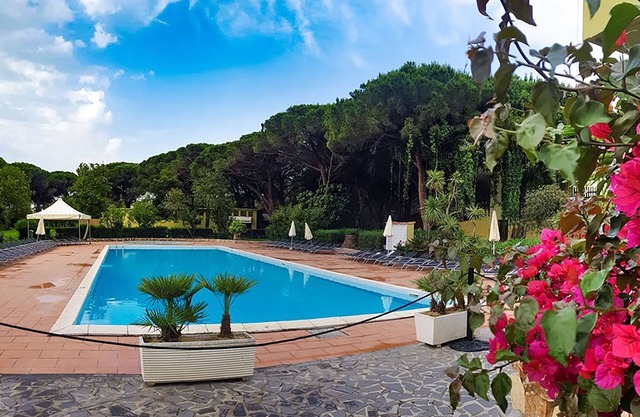 Studio in einem Pinienwald auf Sardinien