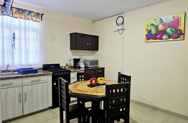 Nice homey apartment 8 min from downtown