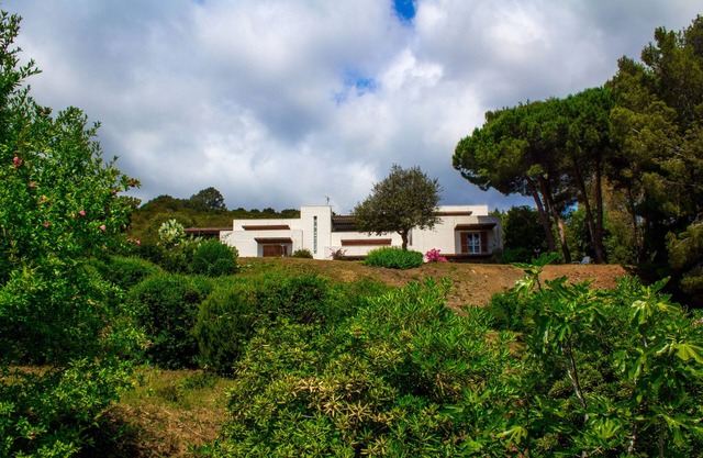 Wohnung 4 + 2 Betten Marina di Campo (Insel Elba) mit bewaldetem Land