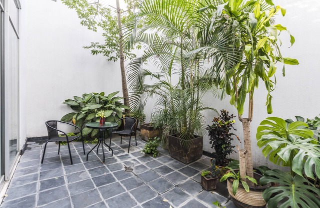 Apartment in the best area of Guadalajara