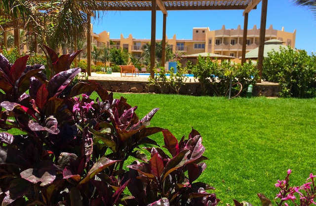Wohnung | im tropischen Resort | pool | nahe am Strand
