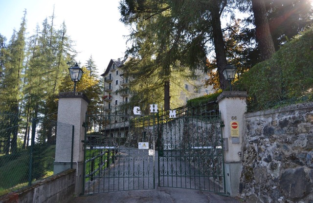 Apartment surrounded by greenery near the pine forest - relaxation and comfort
