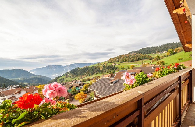 Ferienwohnung 'Klausthaler Ferienwohnung B' mit Bergblick, Gemeinschaftsterrasse und Wi-Fi