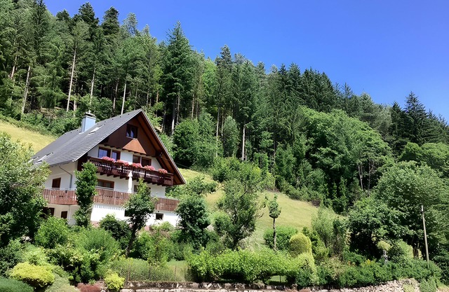 Apartment 'Wohnen im Grünen' mit Bergblick, Balkon und WLAN