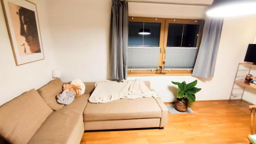 Apartment Mizi