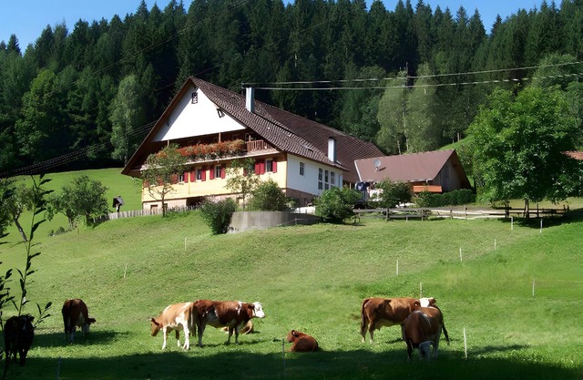 Ferienwohnung 'Nichtraucher' mit Gemeinschaftsgarten, Balkon und Wi-Fi