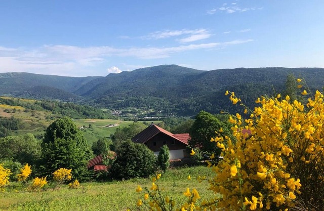 Ferienwohnung in Vogesenhof mit Terrasse, Kamin und WLAN