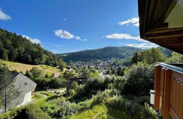 Ferienwohnung 'Panorama Todtmoos' mit Bergblick, Balkon und WLAN