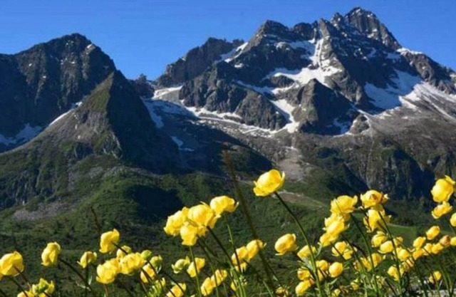 Haustierfreundliche "Residence Adamello Bilocale" mit Bergblick und Balkon