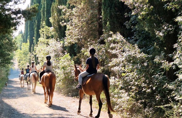 Apartment 'Romantico' – Farm Stay with View of Siena